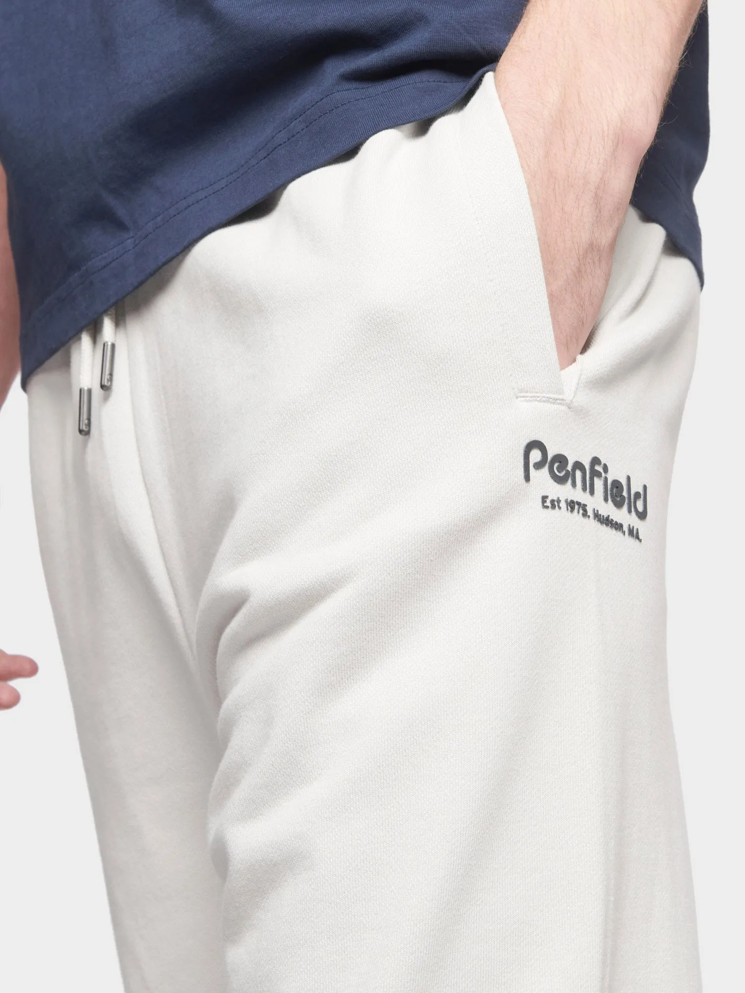 Hudson Script Sweatpants in Nimbus Cloud